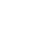 BlockSurvey logo