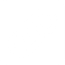 BlueLink logo