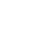 Disparo Pro logo