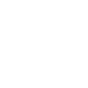Neto logo