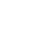 RAYNET CRM logo