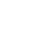 Ronin logo