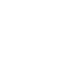Salesflare logo
