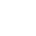 Surveybot logo