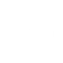 Zoom logo